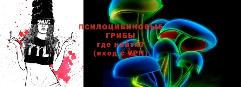 магазин продажи   Дивногорск  нарко площадка как зайти  Псилоцибиновые грибы мухоморы 